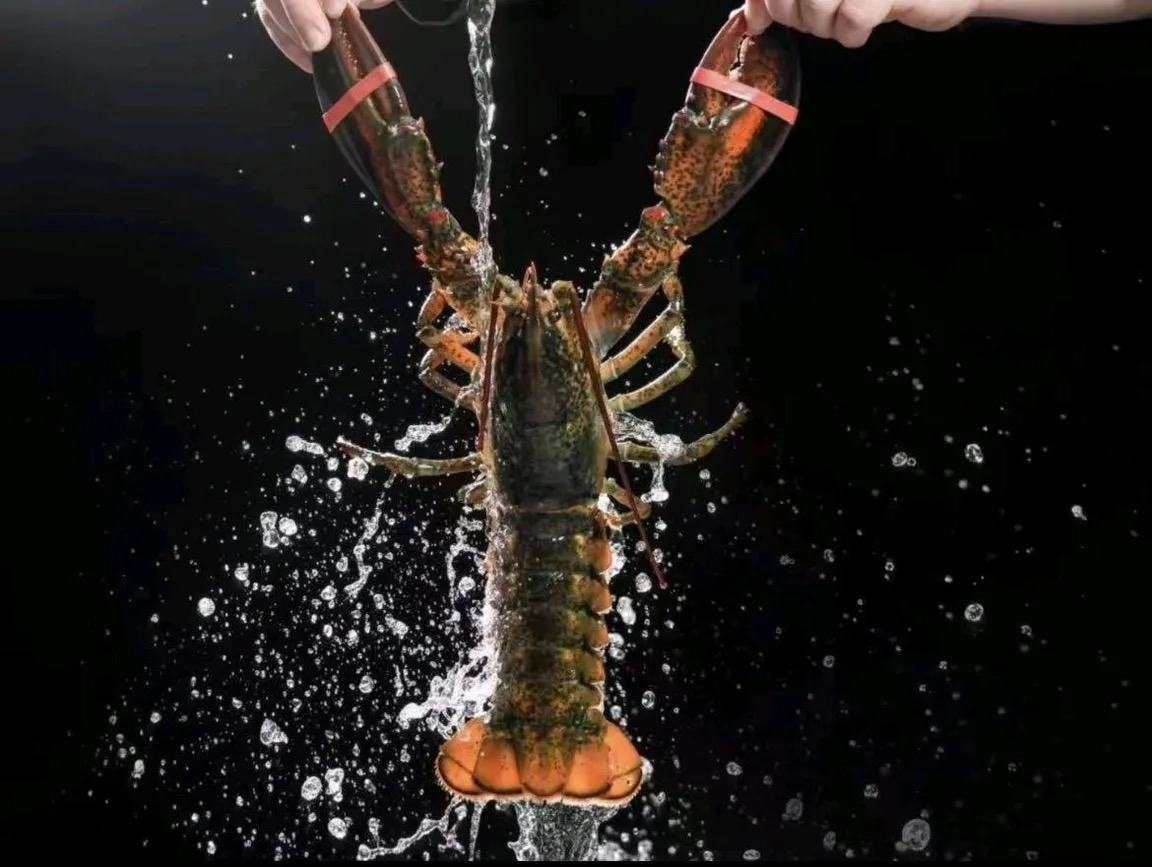 河源海鲜